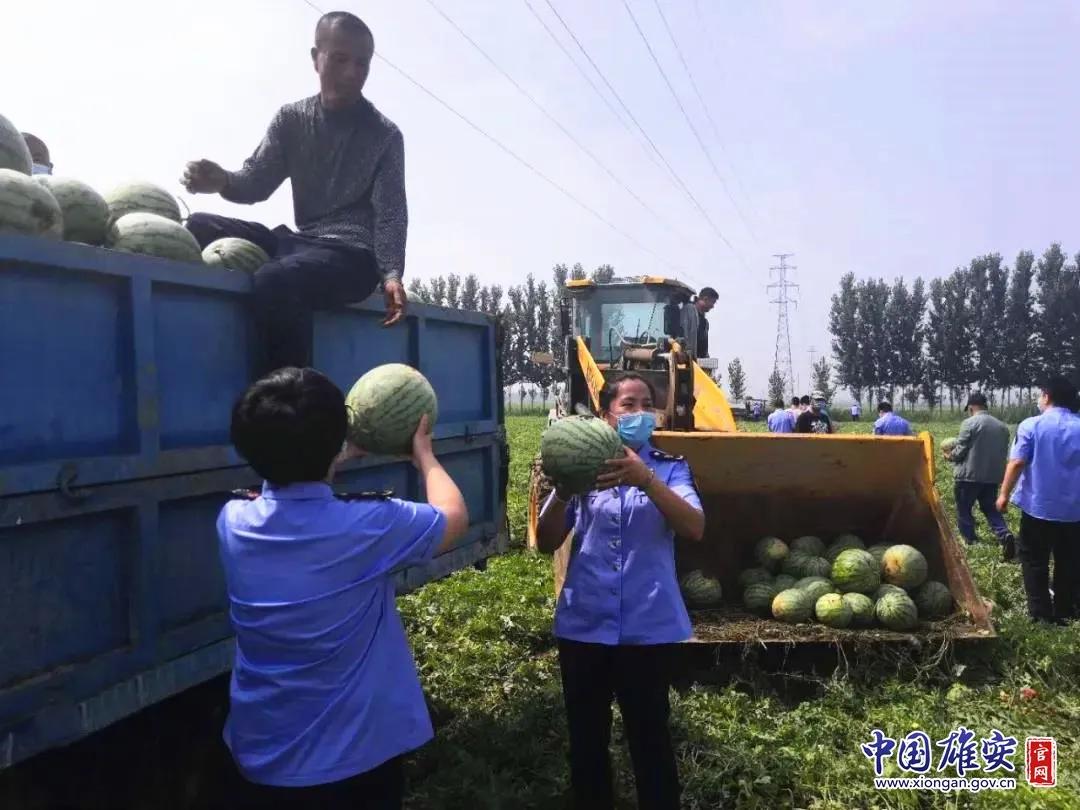 安新县数据和政务服务局领导最新动态概览