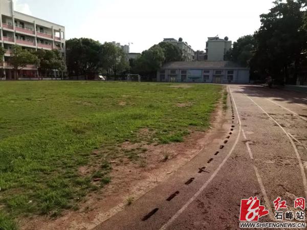 石峰区小学未来发展规划展望