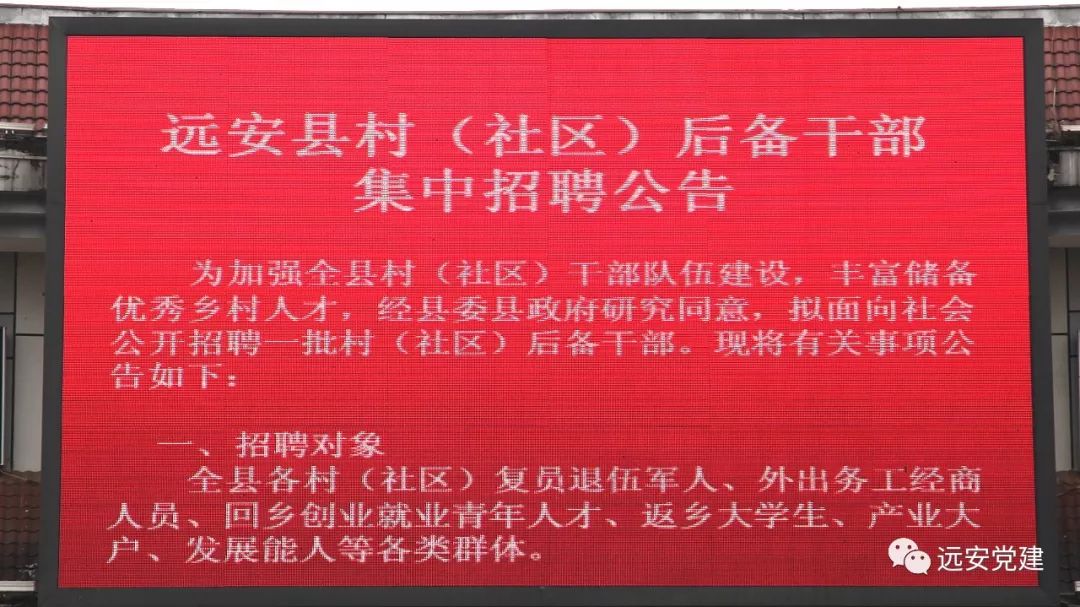 青田社区村最新招聘信息概况