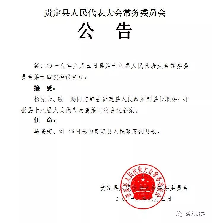 马关县统计局人事任命启动新篇章，推动统计事业稳步前行